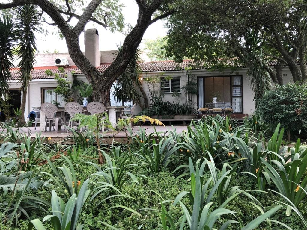 The Wild Fig - Main view