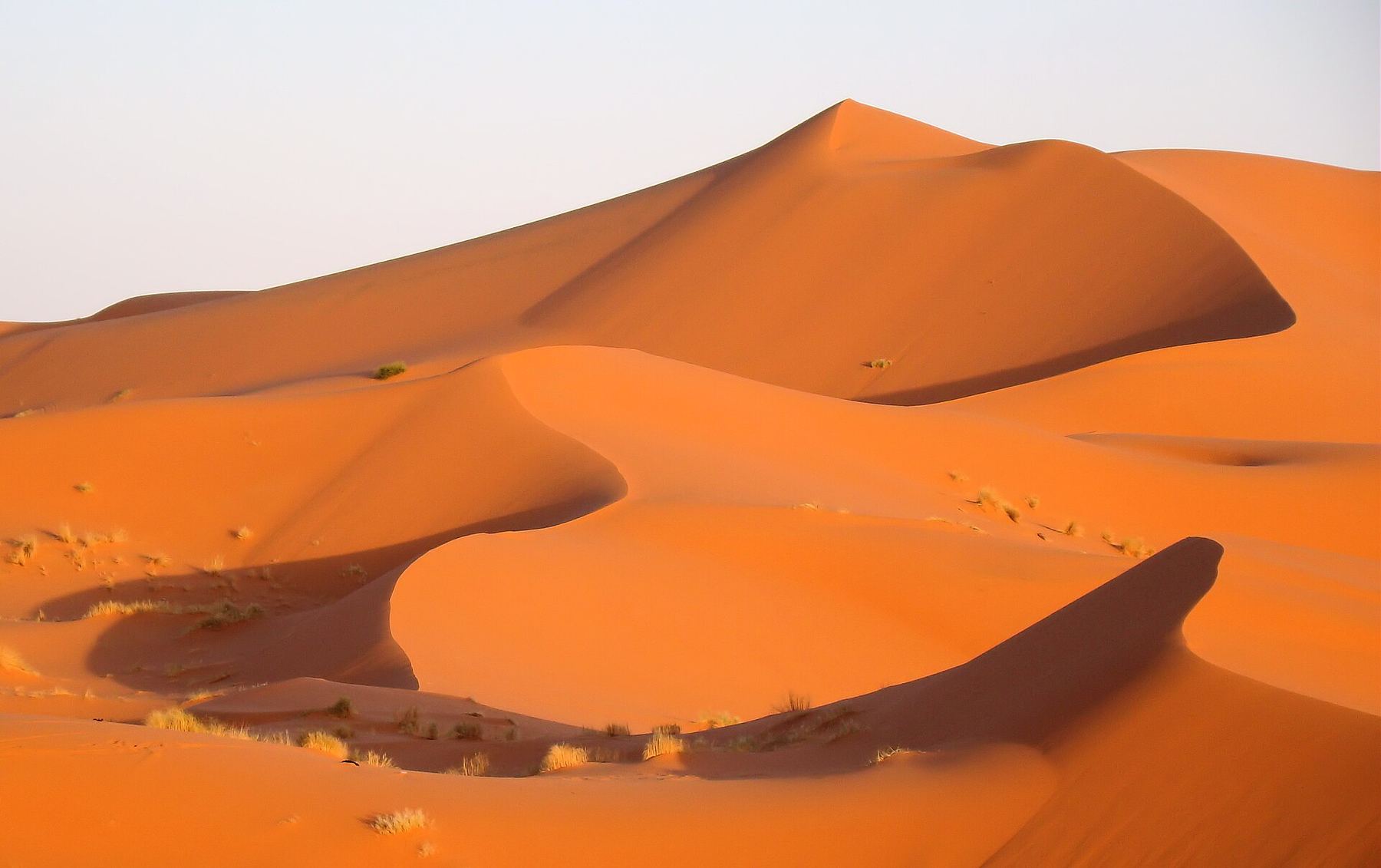 Una vista de Merzouga