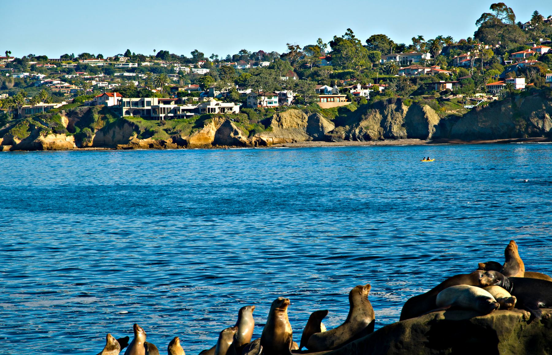 Вид: San Diego