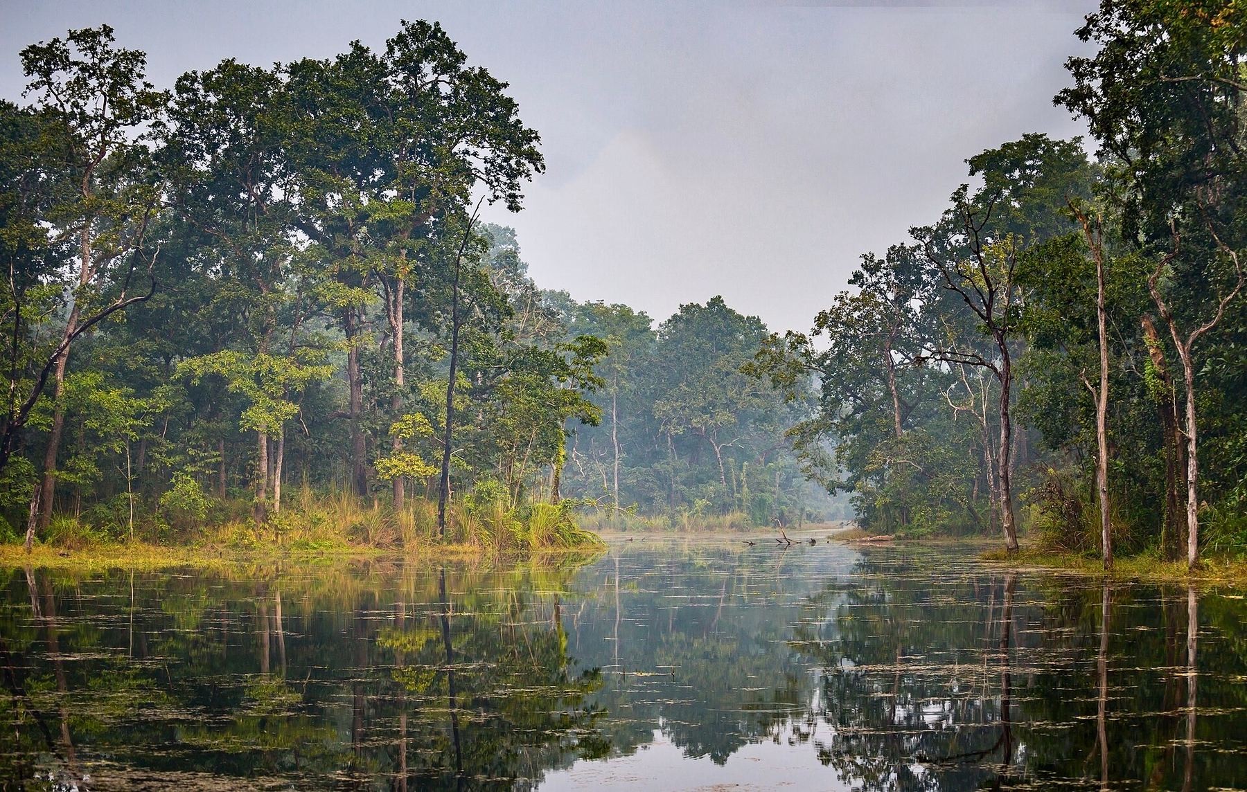 Ein Blick auf Sauraha