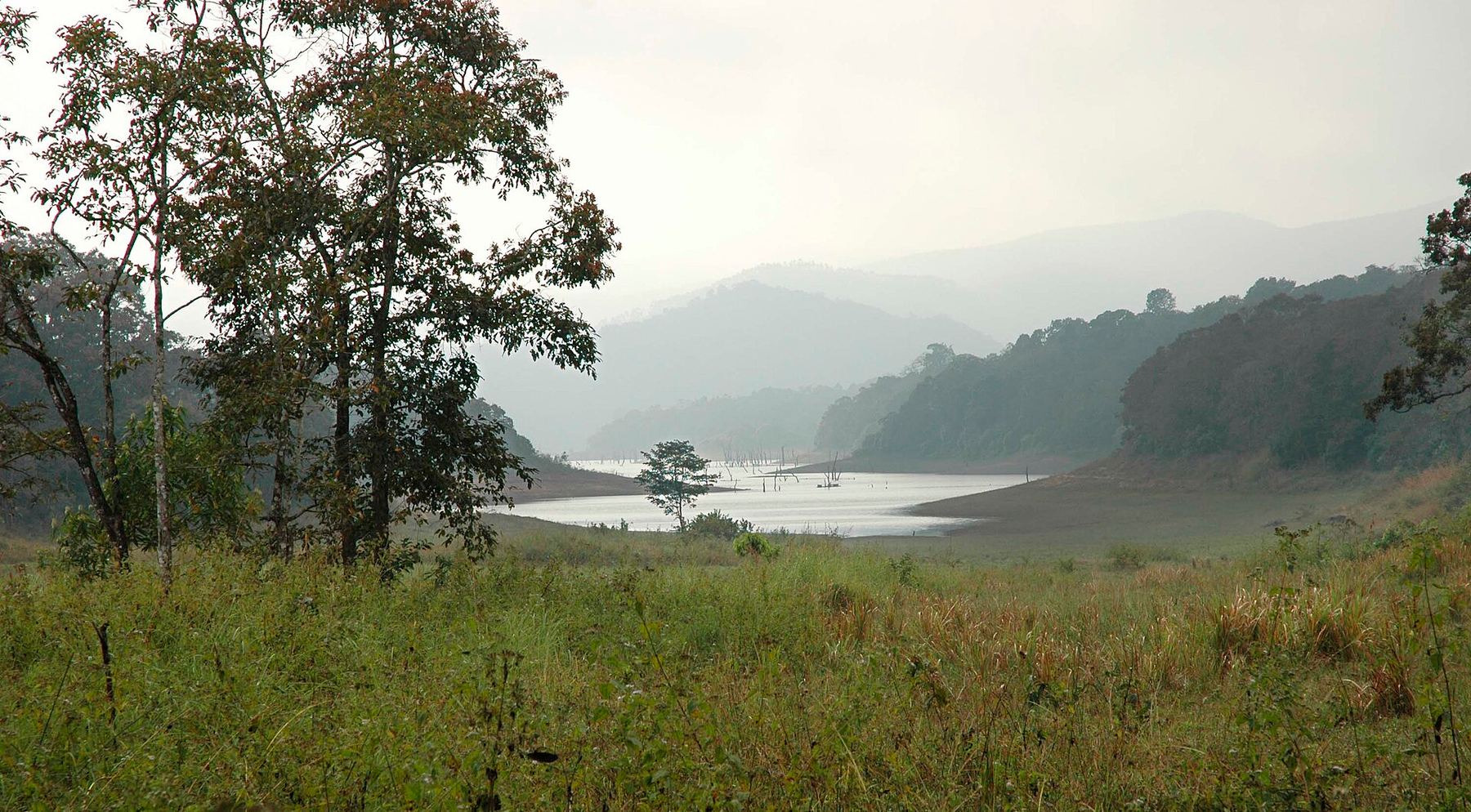 Вид: Thekkady