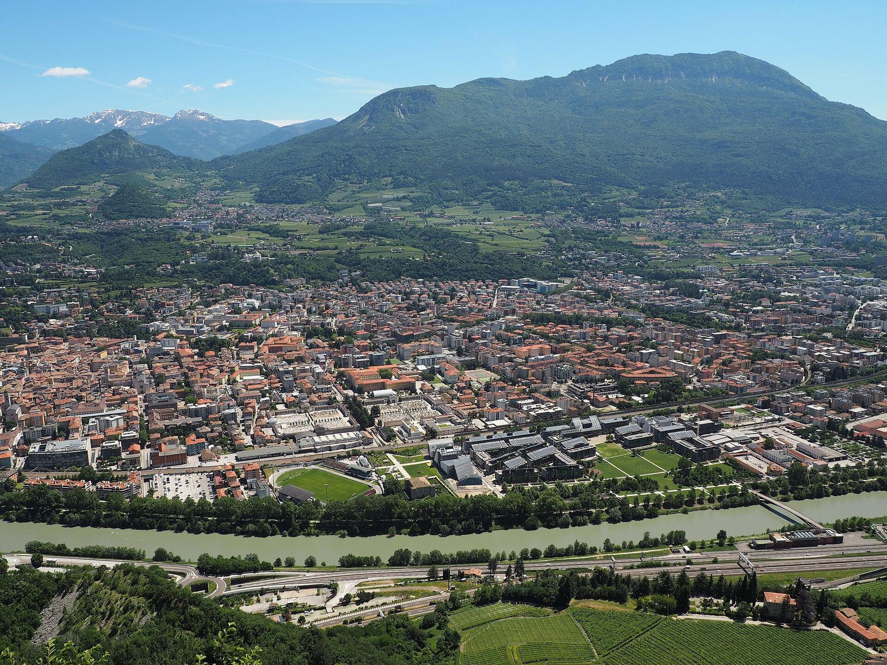 Вид: Trento
