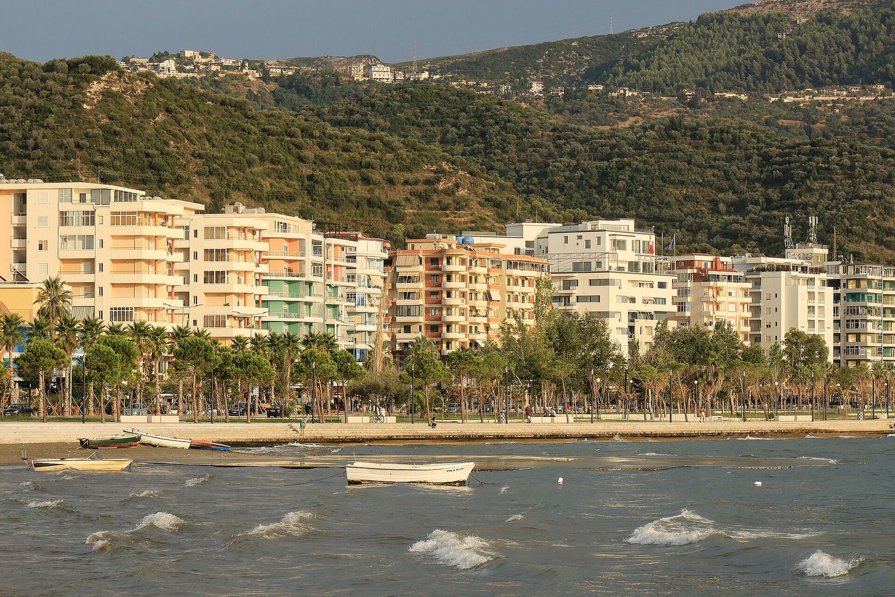 Вид: Vlora