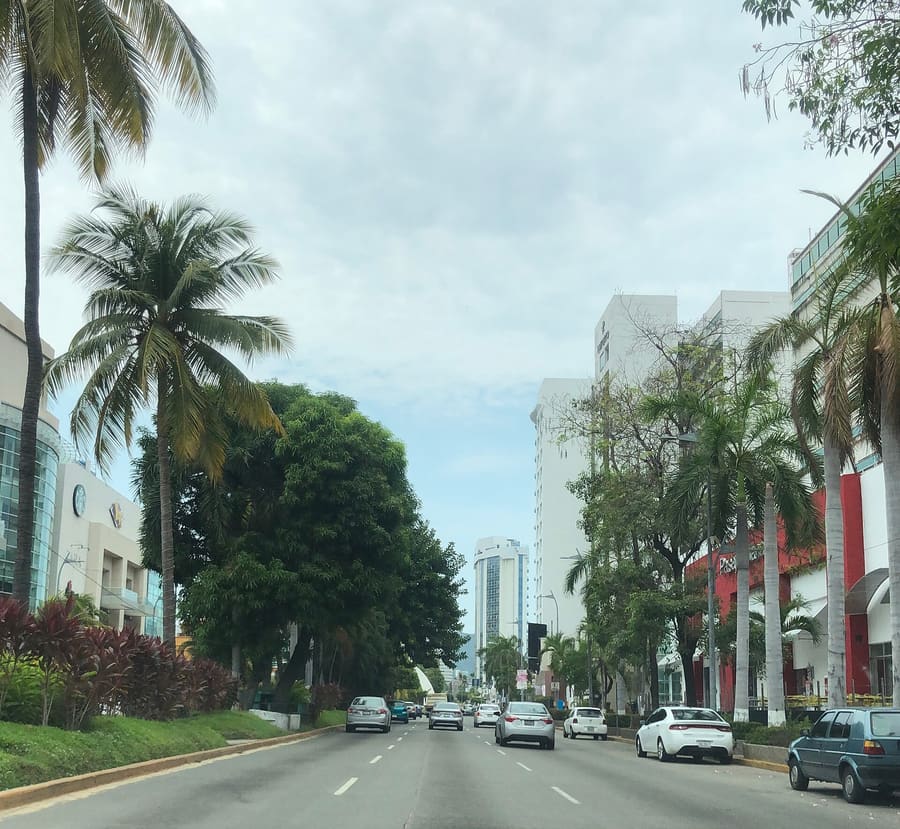 Zona Dorada