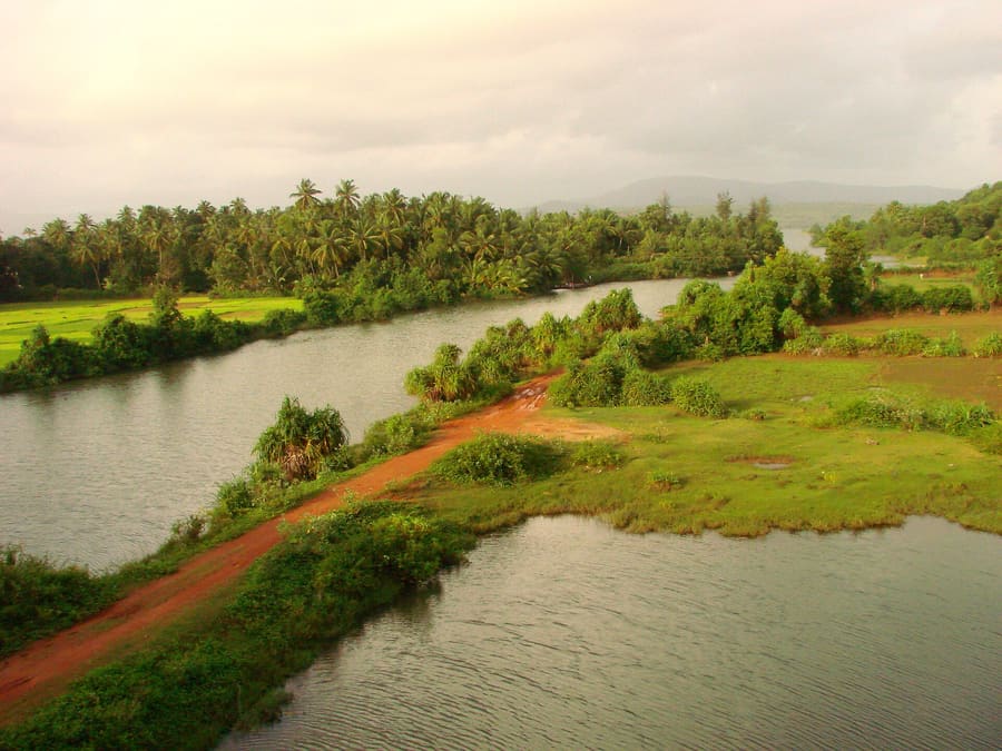 Agonda