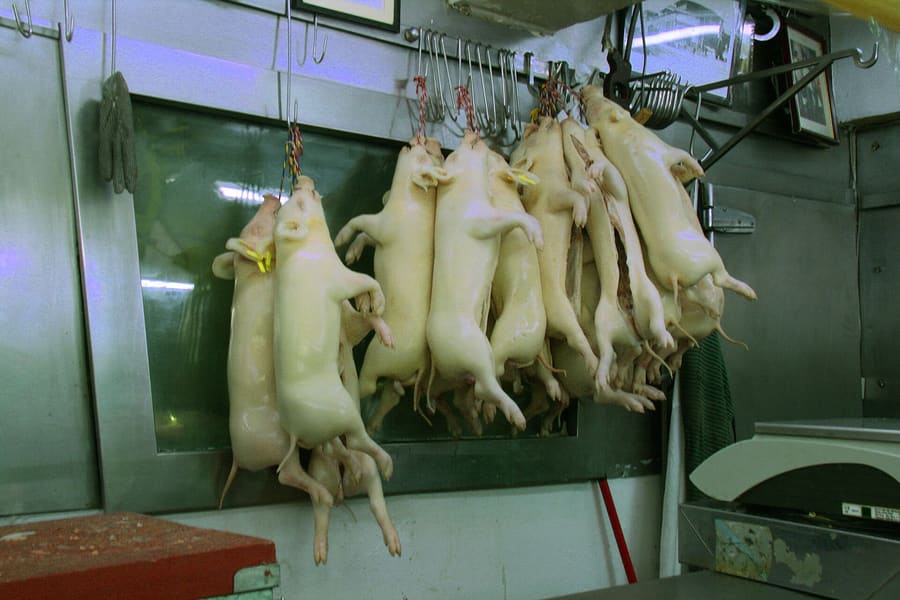 Lechón stalls carve roasted pork fresh for morning taco orders.