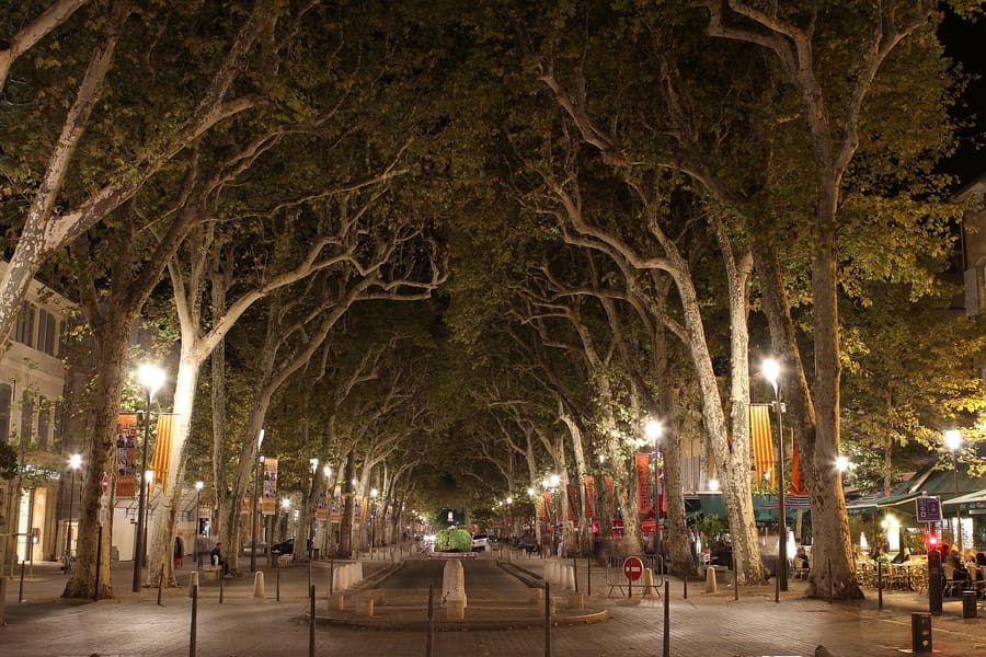 Cours Mirabeau