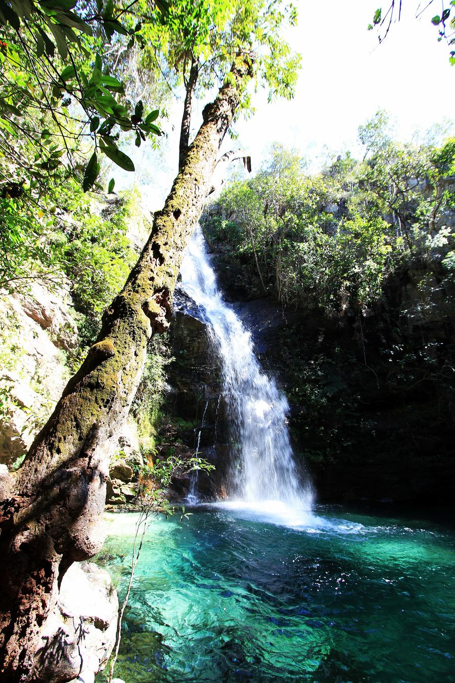 Cachoeira Loquinhas