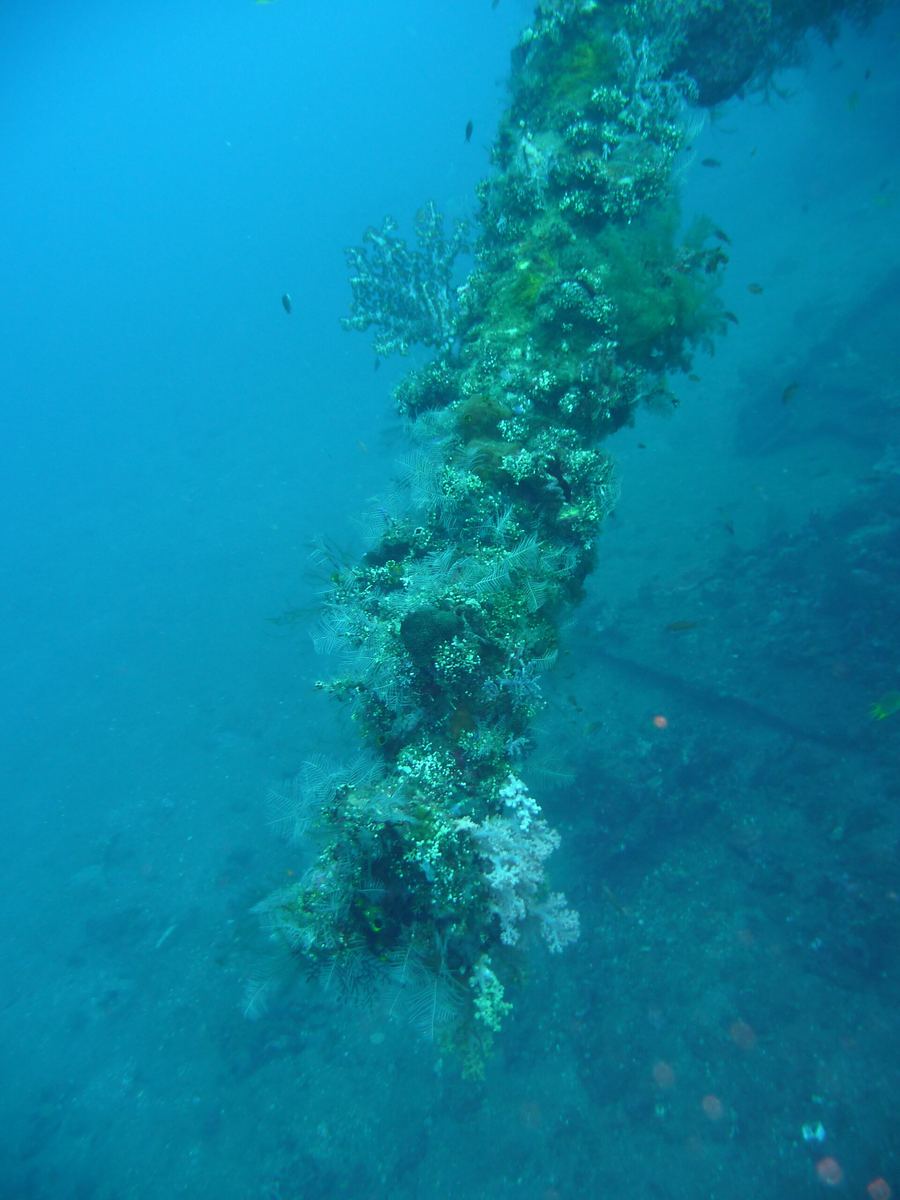 USAT Liberty Wreck