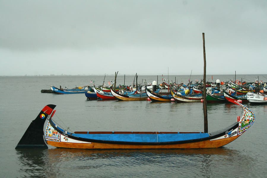 Canal Central & Moliceiros