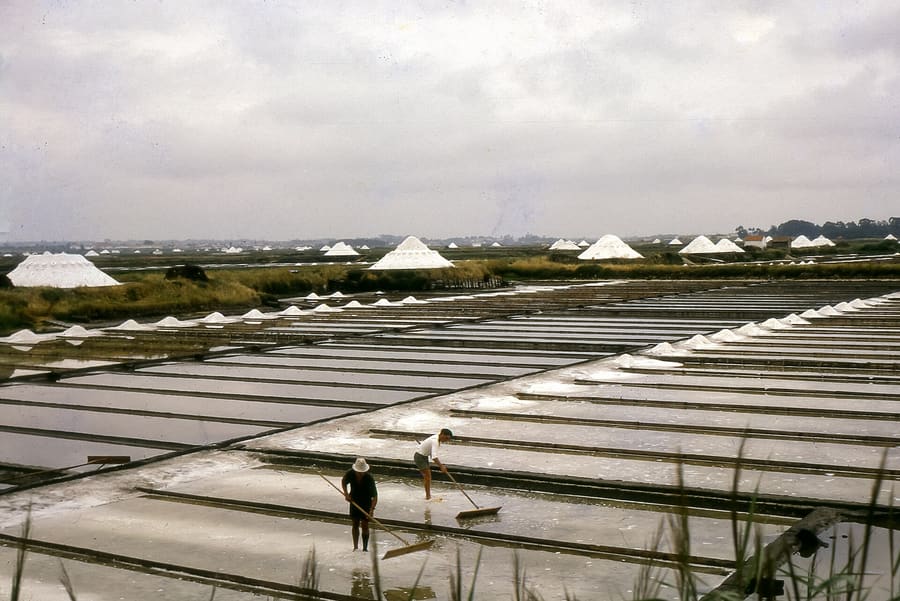 Salinas de Aveiro