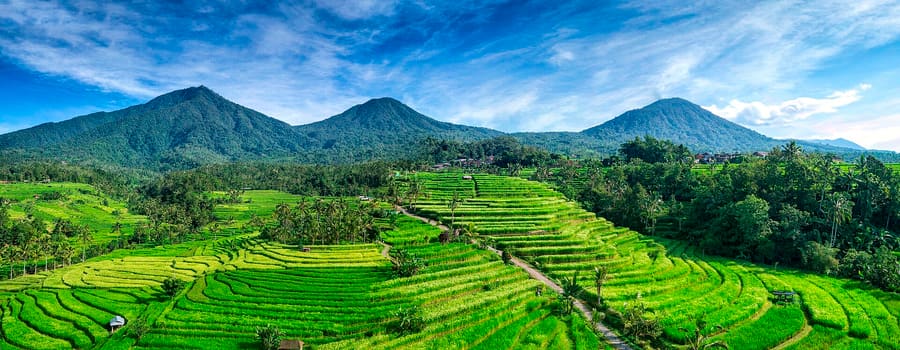 Jatiluwih Rice Terraces