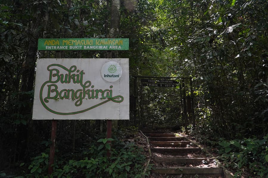 Bukit Bangkirai Canopy Bridge