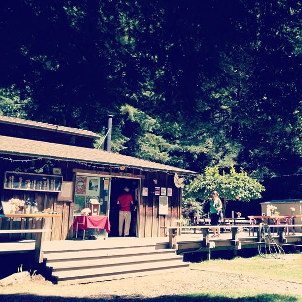 Henry Miller Library
