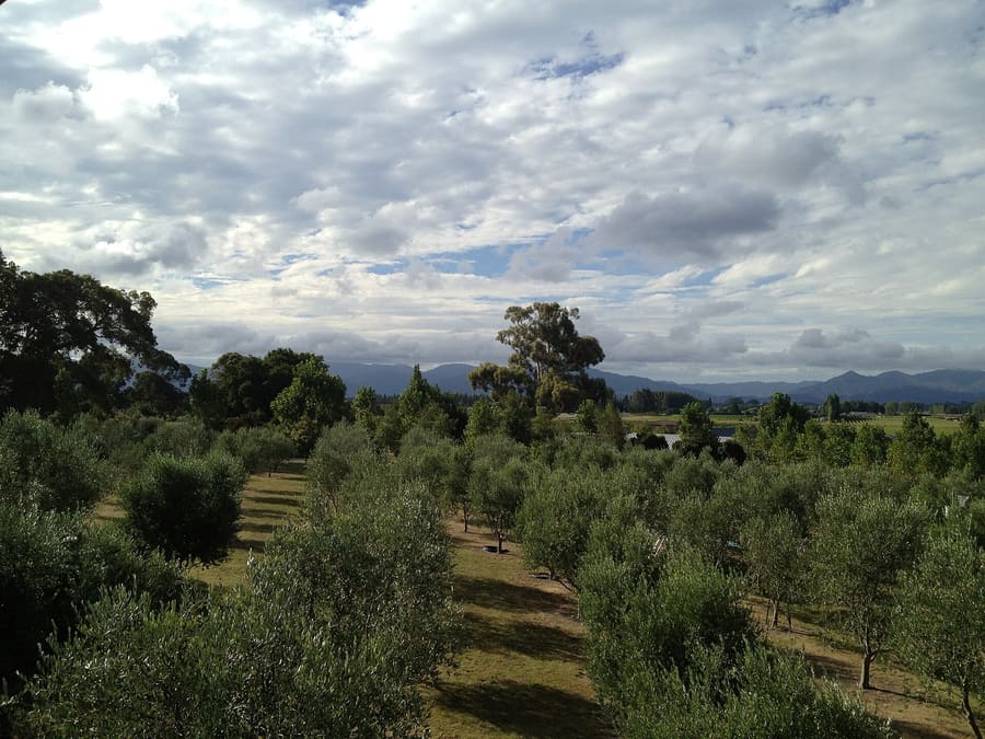 Riverlands
