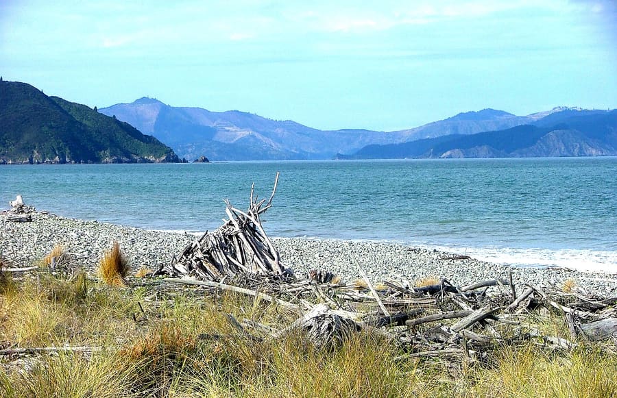 Wairau Bar