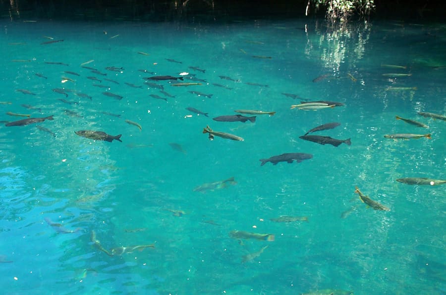 Rio da Prata