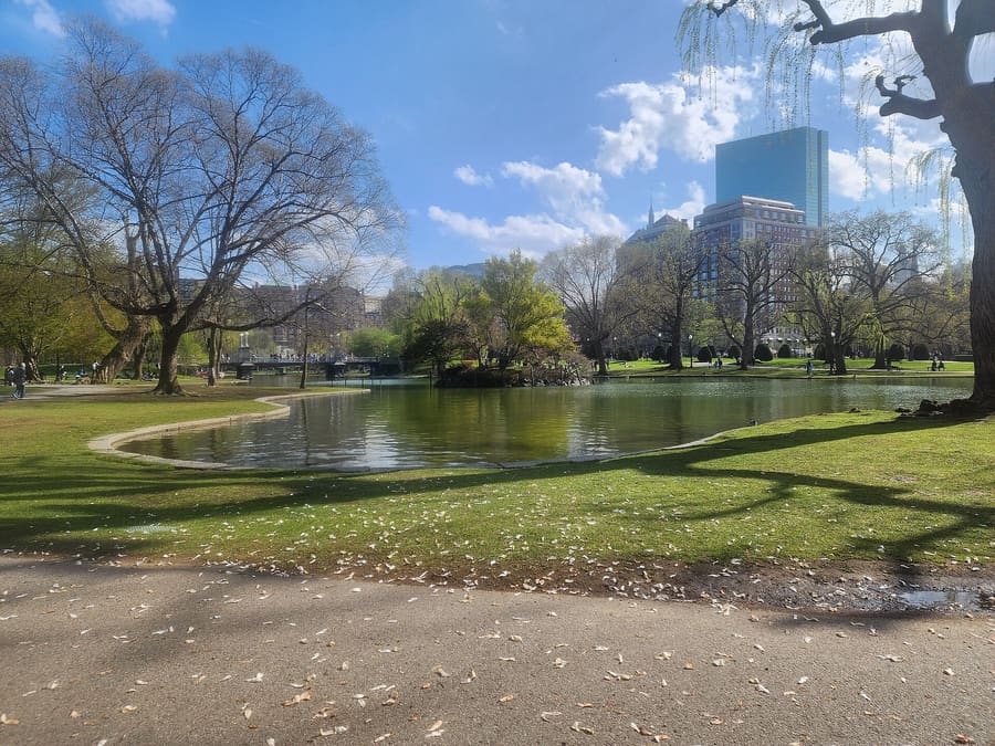 Boston Public Garden