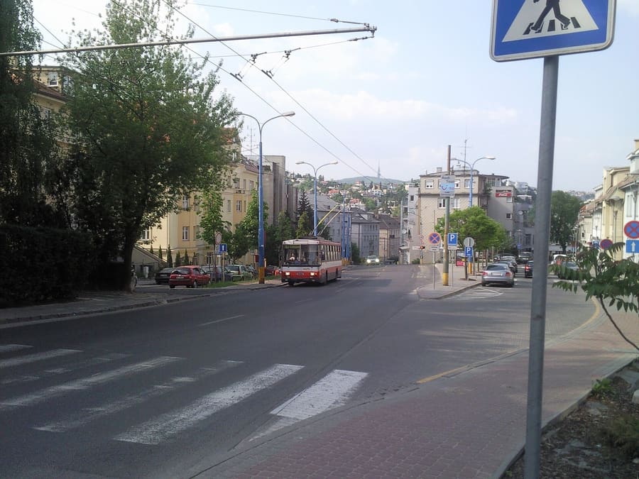 Palisády