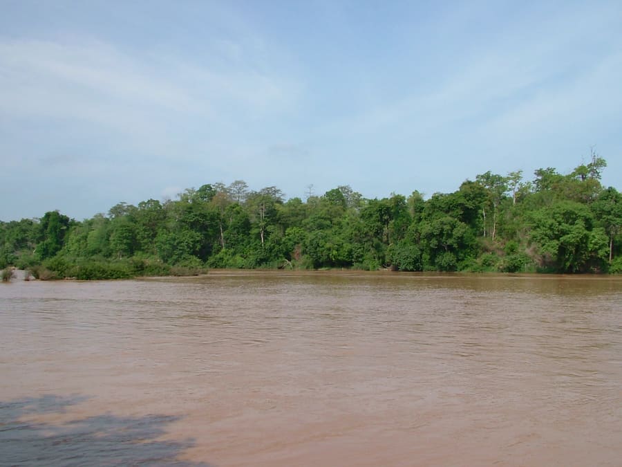 Yok Don National Park