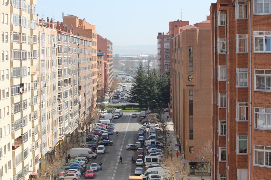 Gamonal