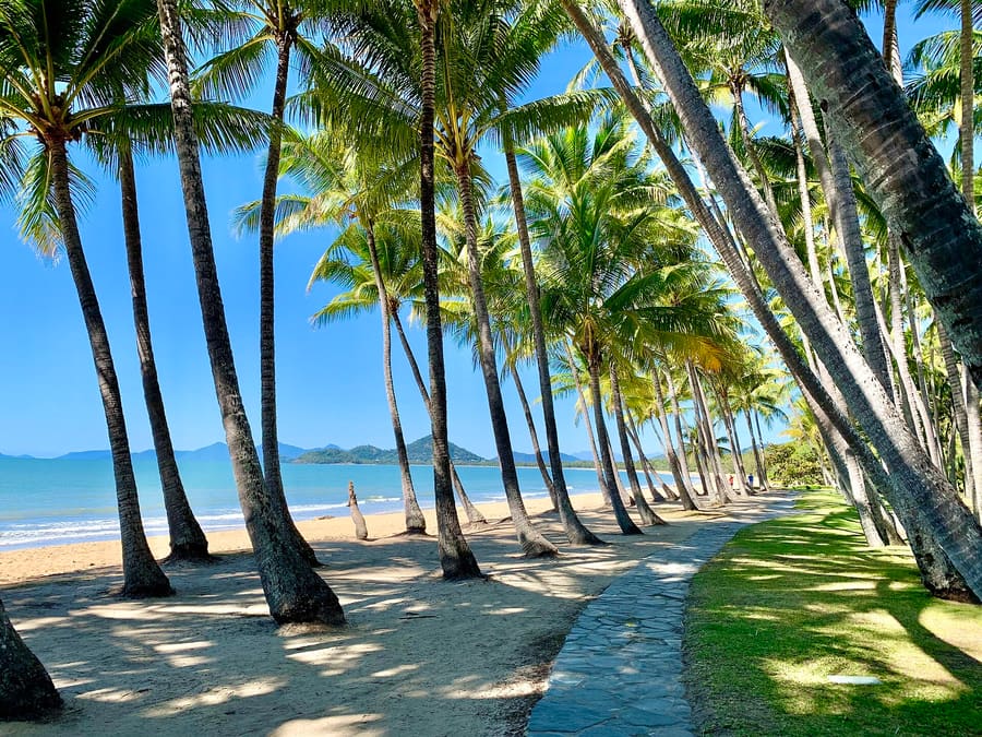 Palm Cove