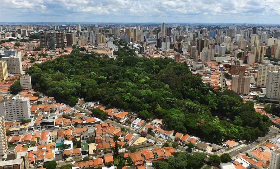 Bosque dos Jequitibás