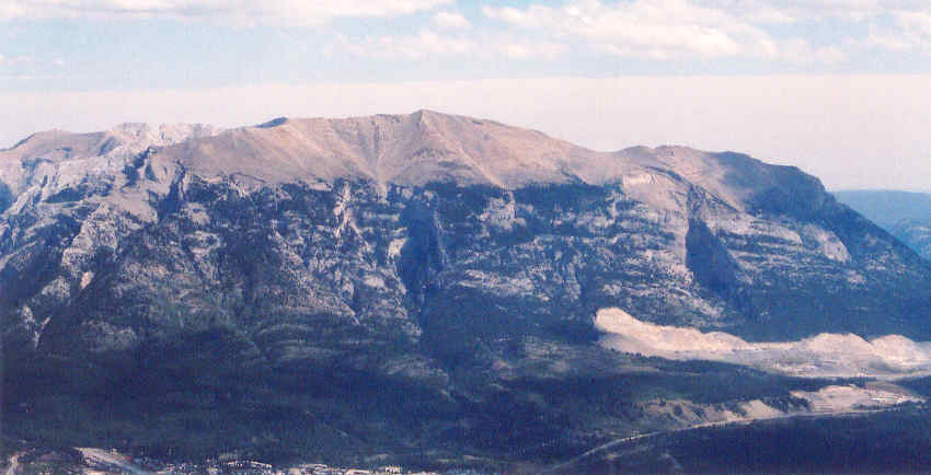 Silvertip