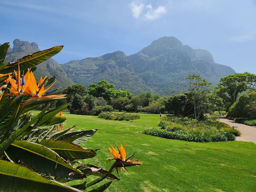 Kirstenbosch Gardens