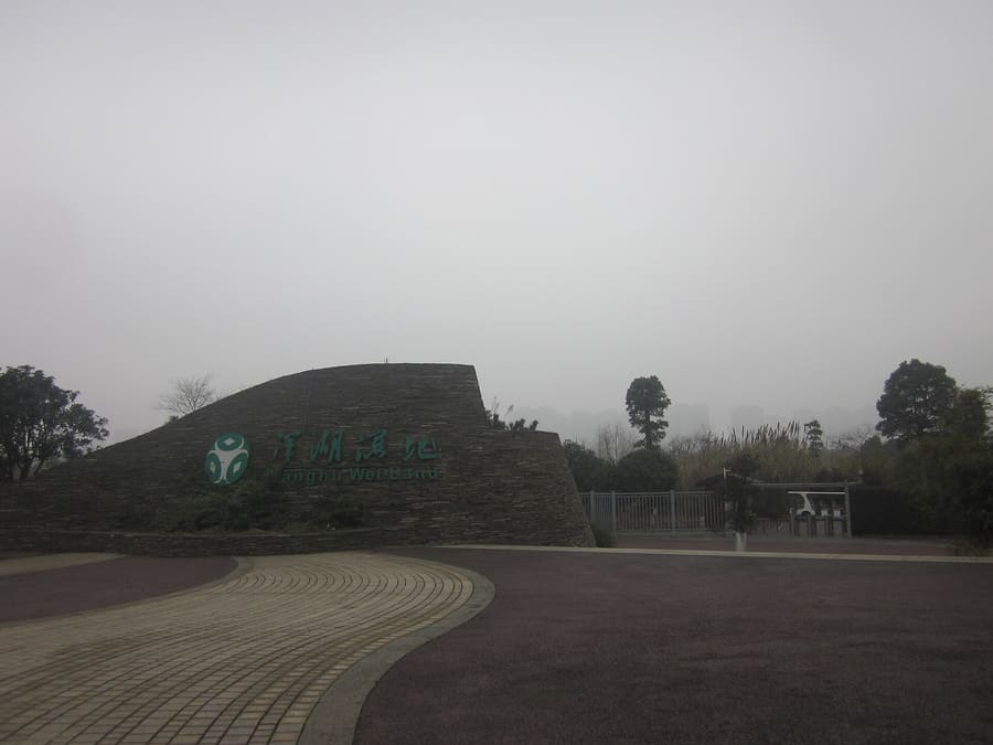 Yanghu Arts District