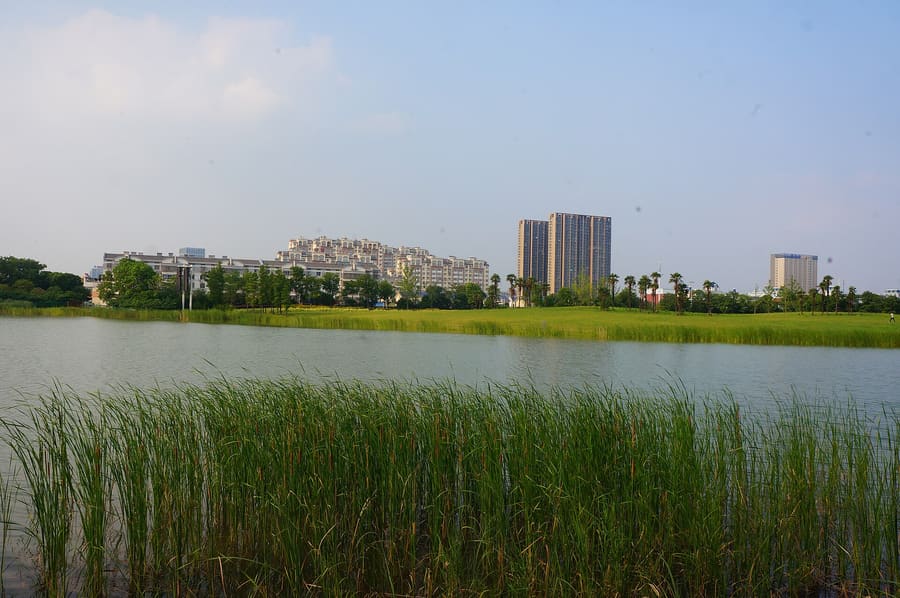Xinbei District