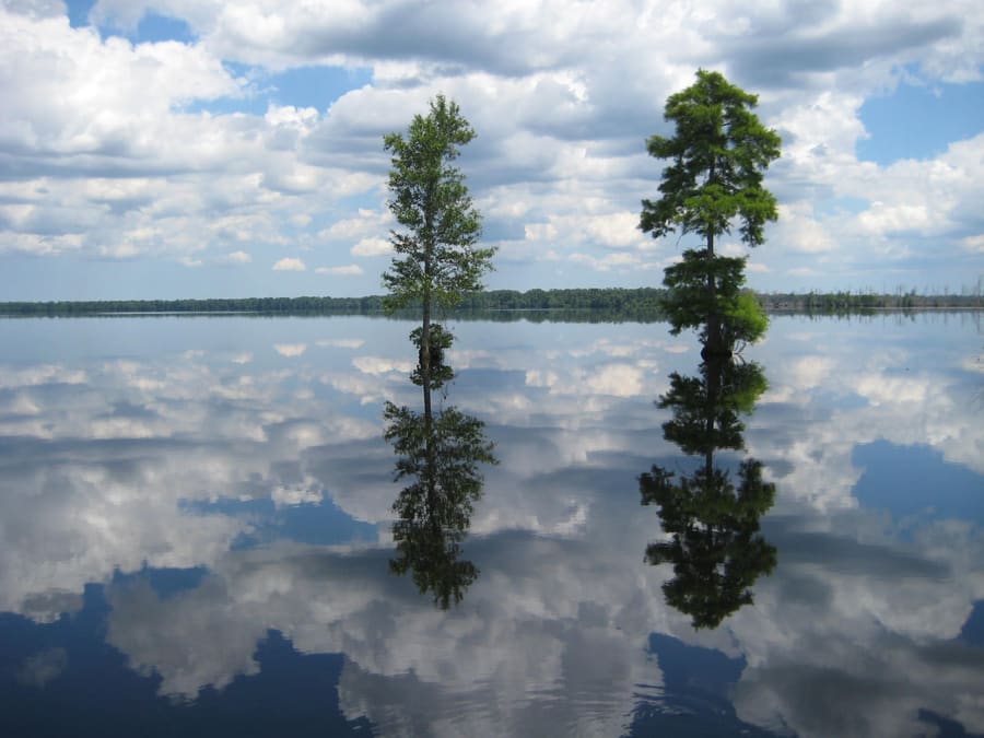 Great Dismal Swamp Refuge