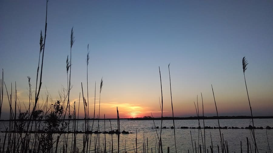 Northwest River Park
