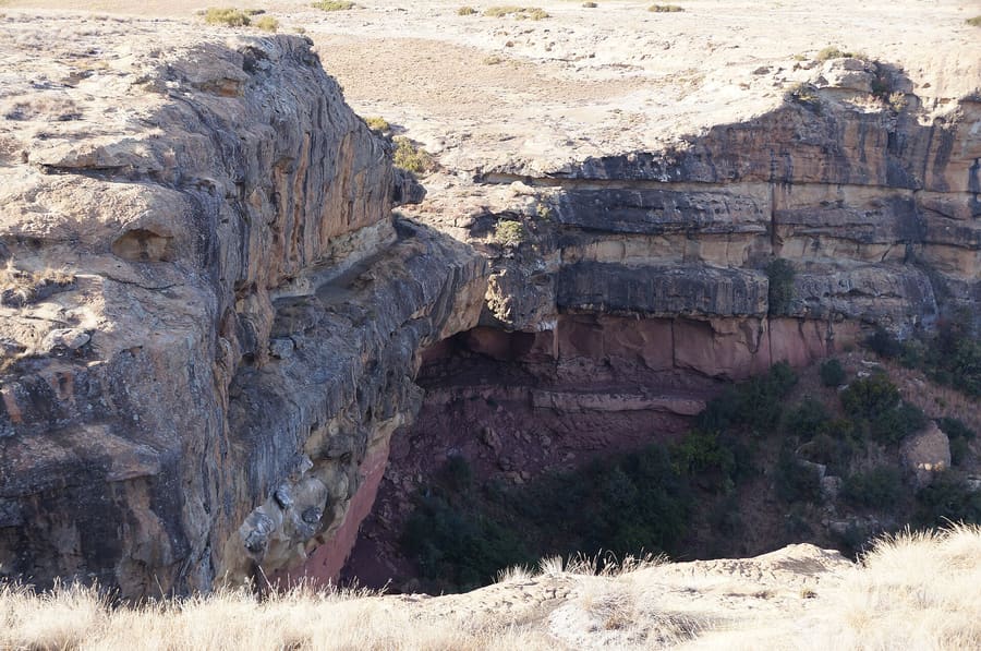 Dinosaur Fossil Footprints