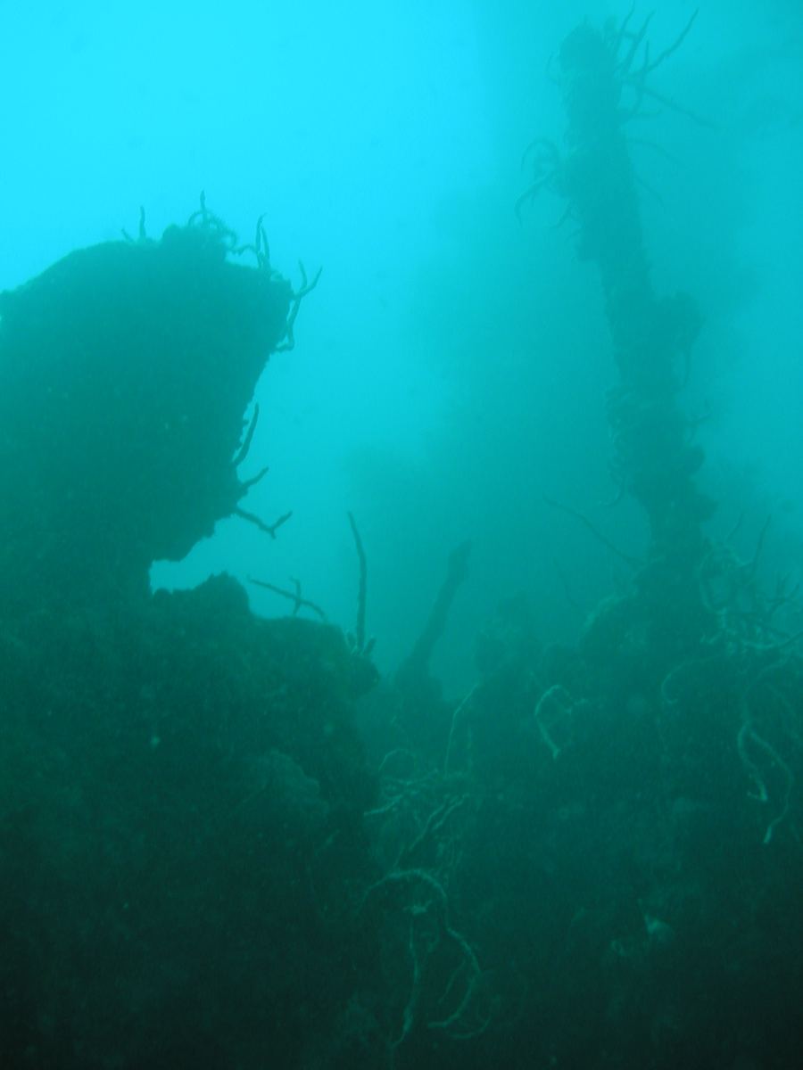 Skeleton Wreck