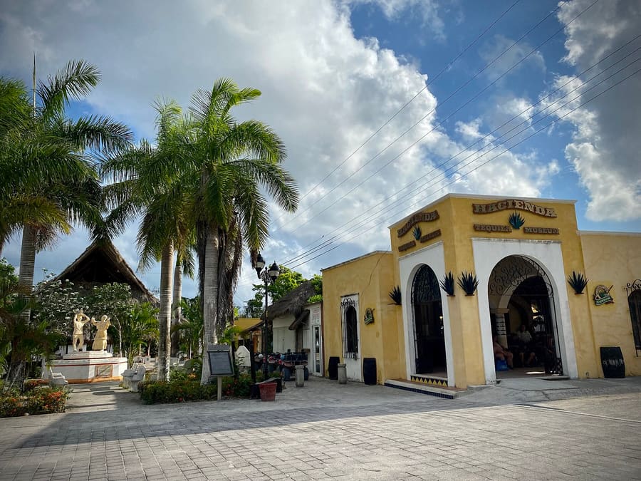 El Cedral