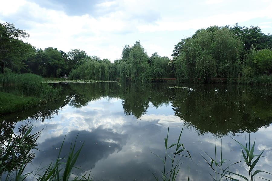 Alexandru Buia Botanical Garden