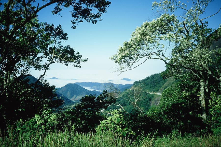 Estrada do Monjolo