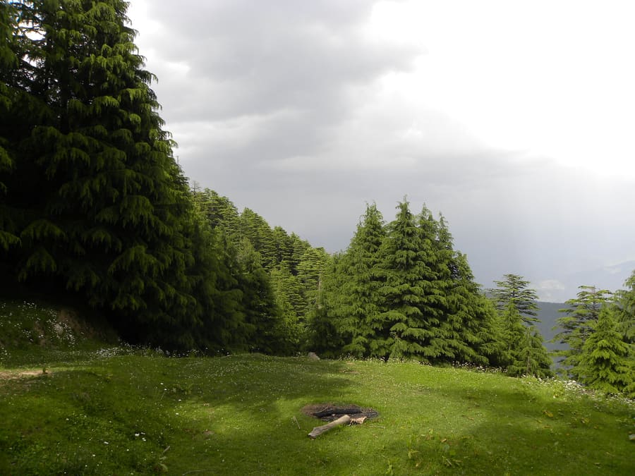 Kalatop Forest