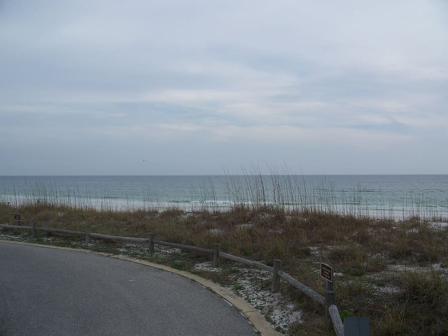 Henderson Beach State Park