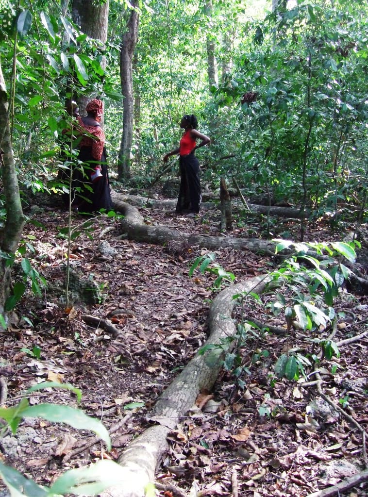 Kaya Kinondo Sacred Forest