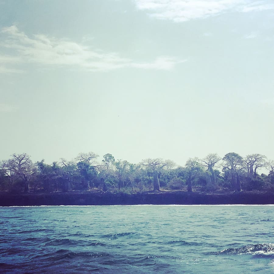 Kisite-Mpunguti Marine Park