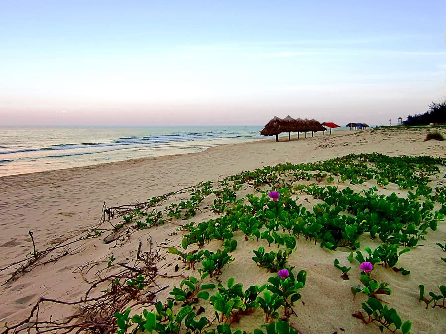 Nhat Le Beach