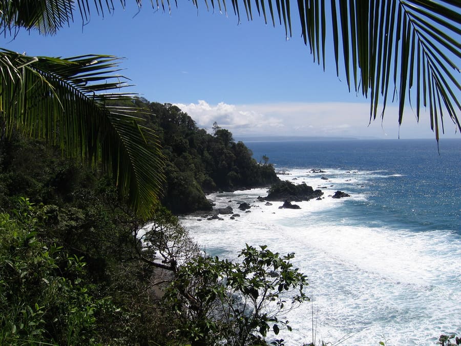 Caño Island Reserve