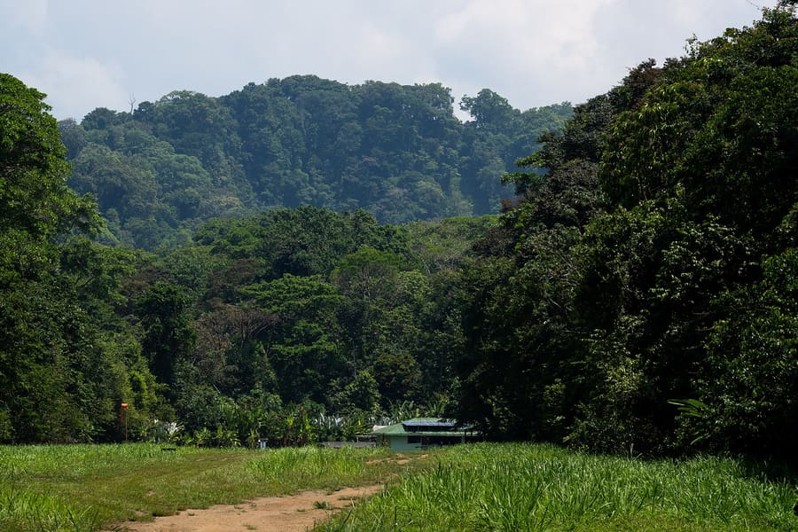 Sirena Ranger Station