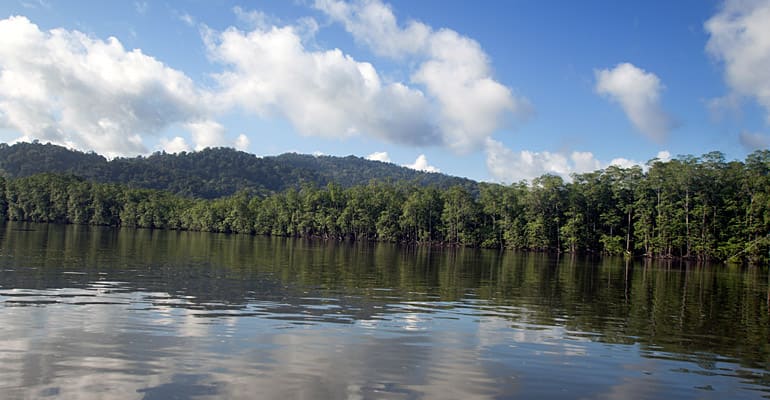 Río Agujitas Kayaking