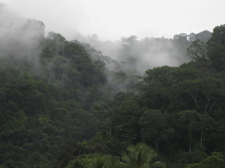 Punta Río Claro Refuge
