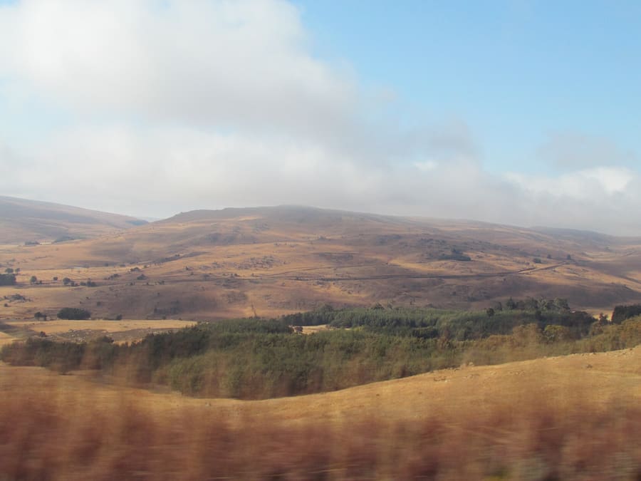 Steenkampsberg Nature Reserve