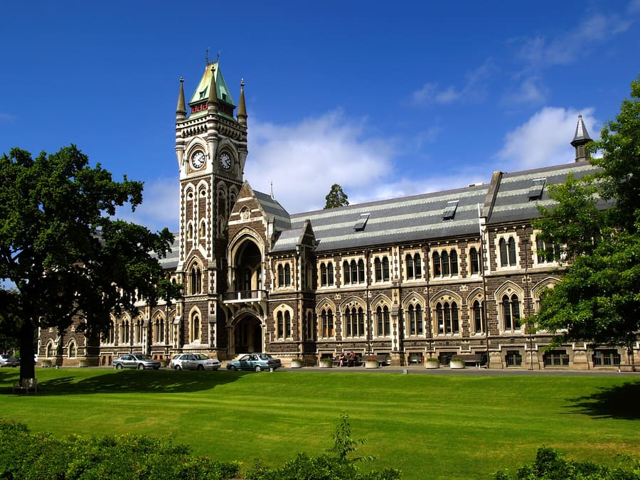 North Dunedin