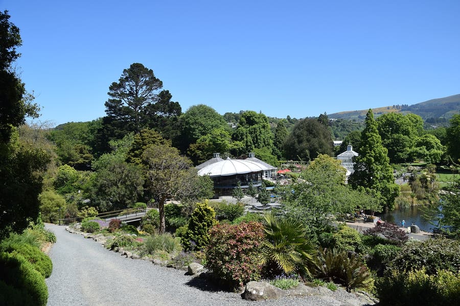Dunedin